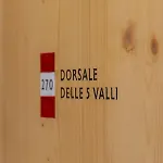 Vecie 3*