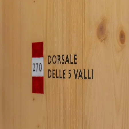 Vecie *