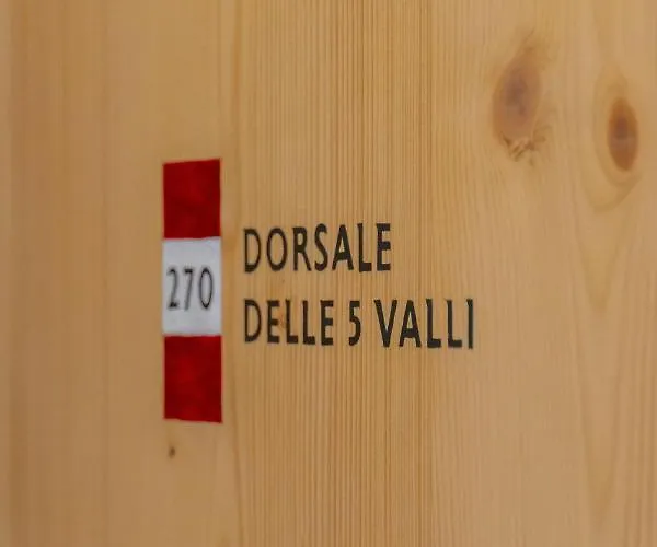 Vecie 3*
